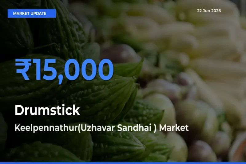 Keelpennathur(Uzhavar Sandhai ) Emerges as Top Mandi for Drumstick Prices Today