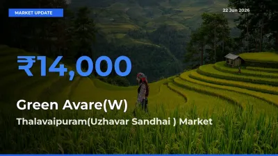 Green Avare(W) Mandi Rate Today: Thalavaipuram(Uzhavar Sandhai ) Tops the List