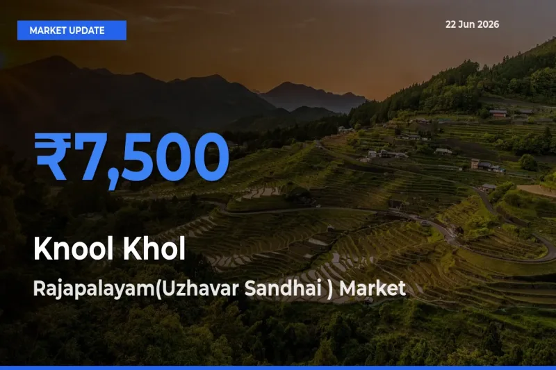 Market Watch: Rajapalayam(Uzhavar Sandhai ) Becomes Top Mandi for Knool Khol