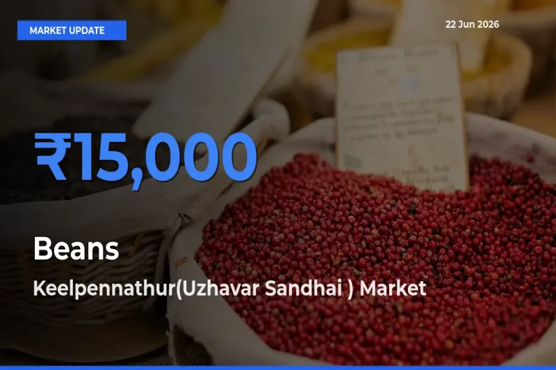 Keelpennathur(Uzhavar Sandhai ) Tops Beans Rates – June 22 Market Update