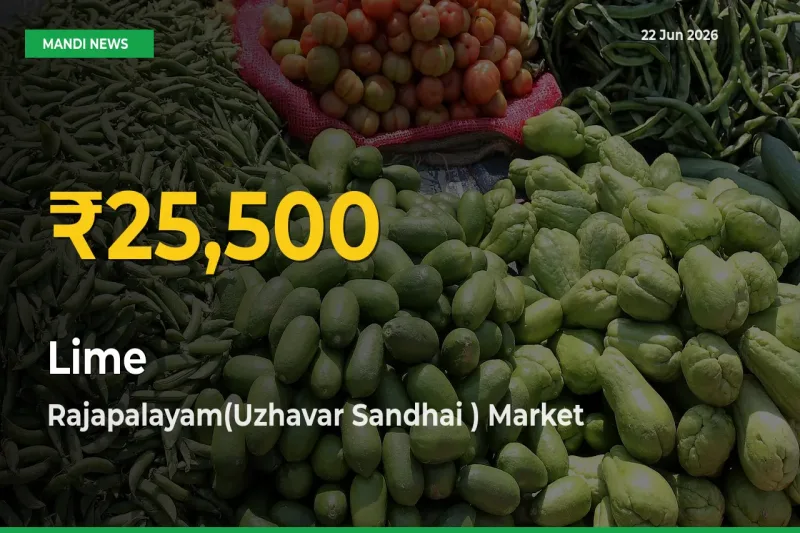 Lime Hits Fresh High in Rajapalayam(Uzhavar Sandhai ) Today
