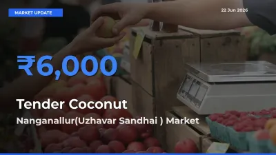 Top Performer! Nanganallur(Uzhavar Sandhai ) Offers Best Tender Coconut Price Today