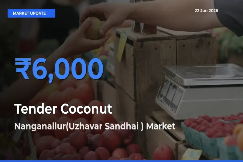 Top Performer! Nanganallur(Uzhavar Sandhai ) Offers Best Tender Coconut Price Today