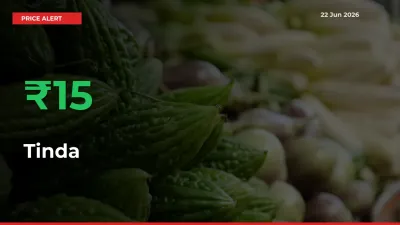 Farmers Cheer as Tinda Prices Surge 15.48% in Local Mandis