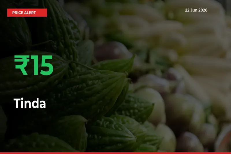 Farmers Cheer as Tinda Prices Surge 15.48% in Local Mandis