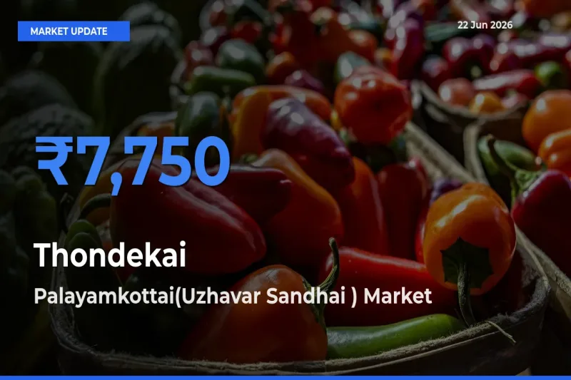 Farmers Prefer Palayamkottai(Uzhavar Sandhai ) as Thondekai Hits Highest Rate