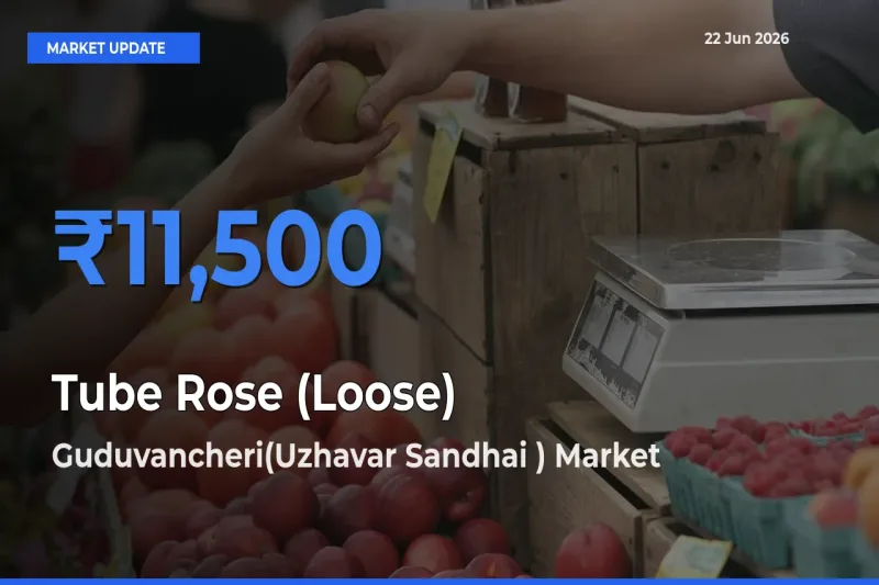 Farmers Prefer Guduvancheri(Uzhavar Sandhai ) as Tube Rose (Loose) Hits Highest Rate