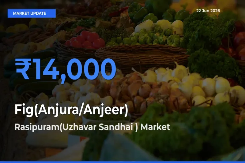 Farmers Prefer Rasipuram(Uzhavar Sandhai ) as Fig(Anjura/Anjeer) Hits Highest Rate