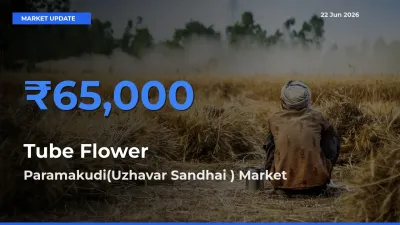 Paramakudi(Uzhavar Sandhai ) Records Highest ₹65,000 Rate for Tube Flower