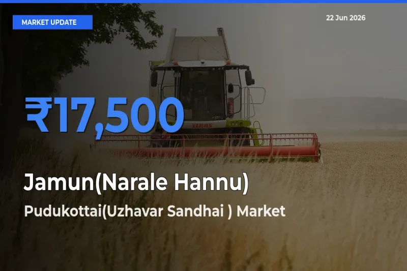 Pudukottai(Uzhavar Sandhai ) Records Highest ₹17,500 Rate for Jamun(Narale Hannu)