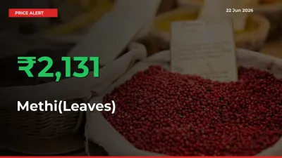 Methi(Leaves) Mandi Rate Today: Prices Jump 2130.64% at Market