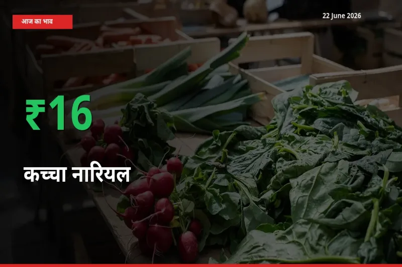 कच्चा नारियल के दाम प्रमुख मंडी में 16.32% बढ़े, 24 घंटे में बड़ा बदलाव