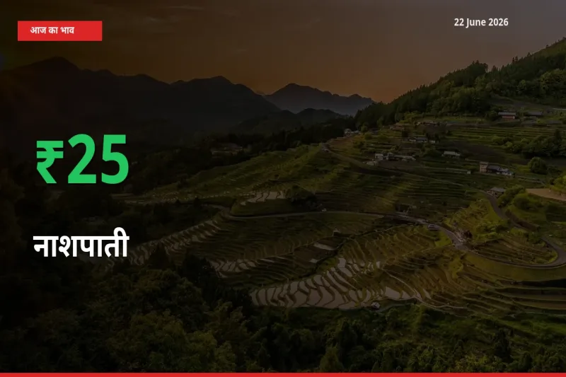 स्थानीय मंडी में नाशपाती के दाम अचानक 25.44% उछले, किसान सतर्क