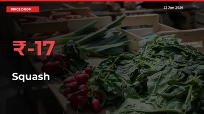 Farmers Alert as Squash Prices Slide 16.96% in Local Mandis