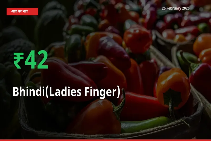 किसानों के लिए खुशखबरी! स्थानीय मंडी में Bhindi(Ladies Finger) 42.18% उछला