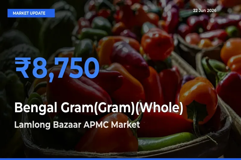 Lamlong Bazaar APMC Emerges as Top Mandi for Bengal Gram(Gram)(Whole) Prices Today
