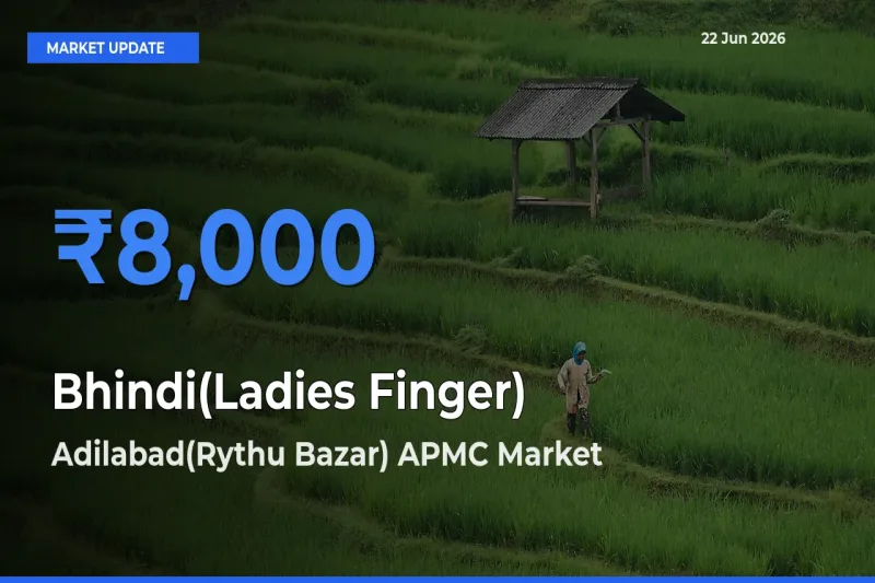 Adilabad(Rythu Bazar) APMC Tops Bhindi(Ladies Finger) Mandi Rates Today