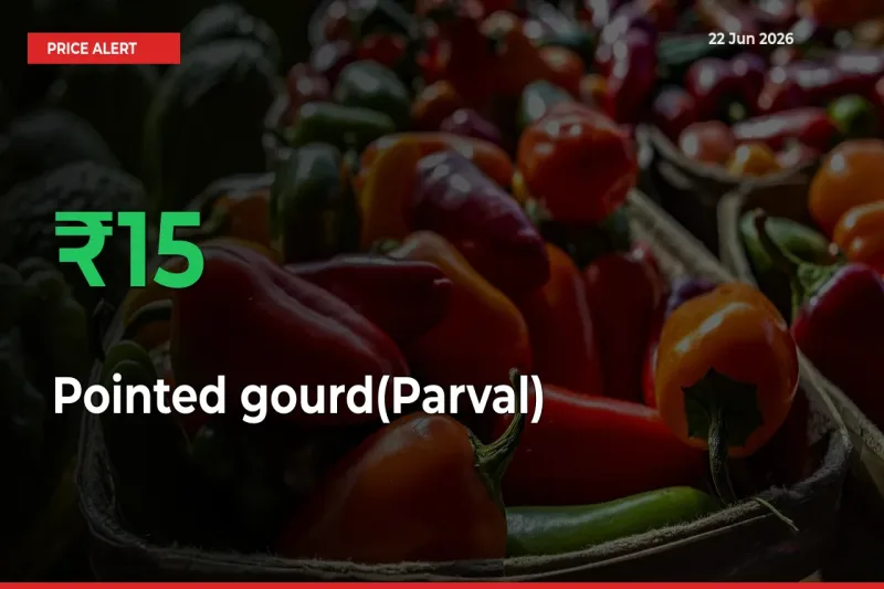 Sudden 15.15% Rally in Pointed gourd(Parval) Prices Across Mandis