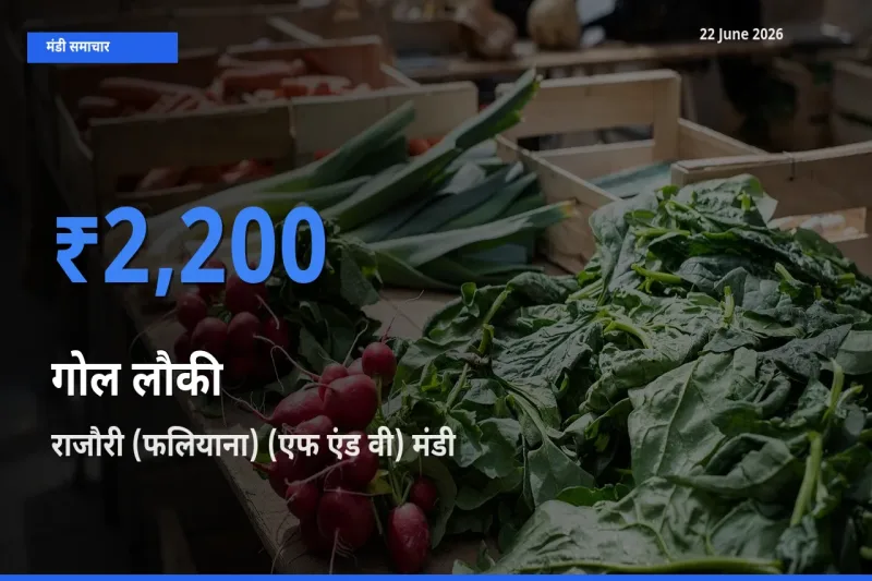 आज का मंडी भाव: गोल लौकी के सबसे ज़्यादा दाम राजौरी (फलियाना) (एफ एंड वी) में