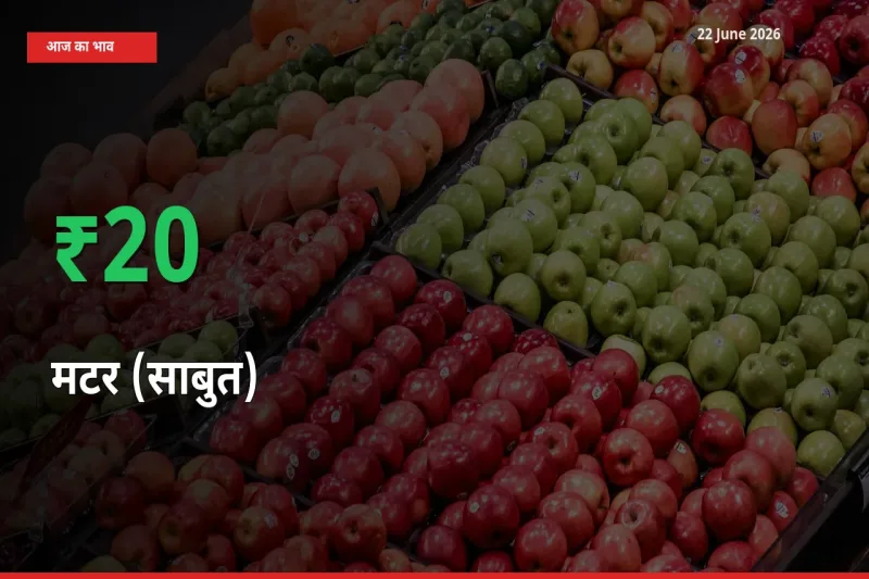 किसानों के लिए खुशखबरी! स्थानीय मंडी में मटर (साबुत) 19.74% उछला