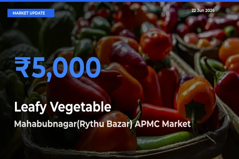 Farmers Prefer Mahabubnagar(Rythu Bazar) APMC as Leafy Vegetable Hits Highest Rate