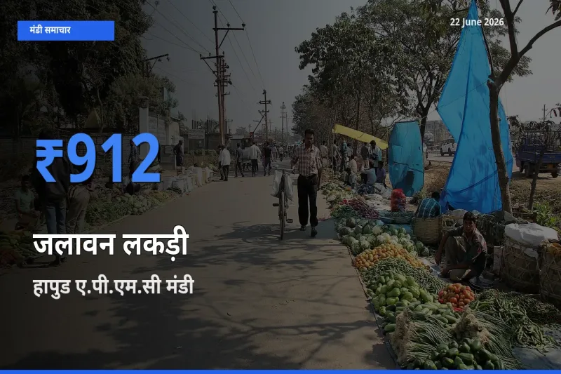 22 June अपडेट: जलावन लकड़ी के सबसे ऊँचे दाम हापुड ए.पी.एम.सी मंडी में