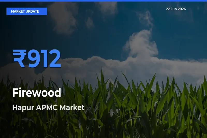 Hapur APMC Leads as Top Mandi for Firewood Prices