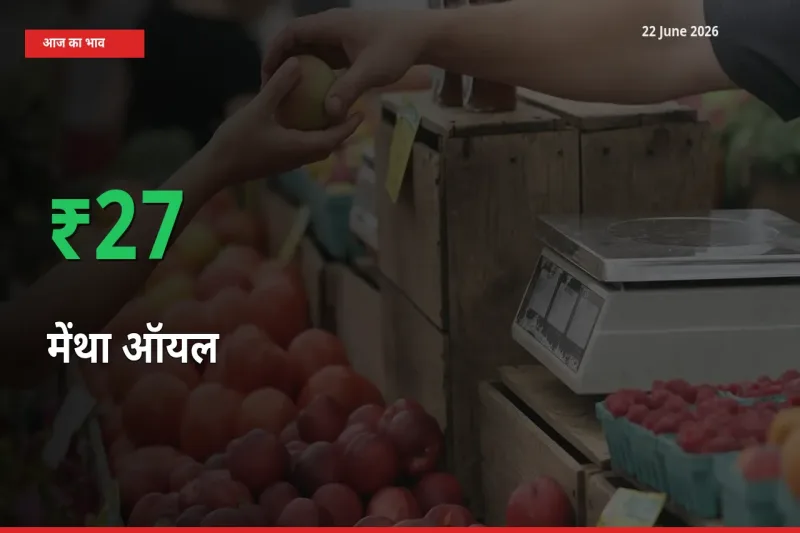 स्थानीय मंडी में मेंथा ऑयल के दाम अचानक 27.42% उछले, किसान सतर्क