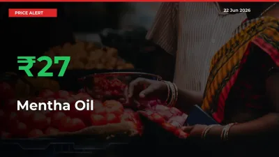 Farmers Cheer as Mentha Oil Prices Surge 27.42% in Local Mandis