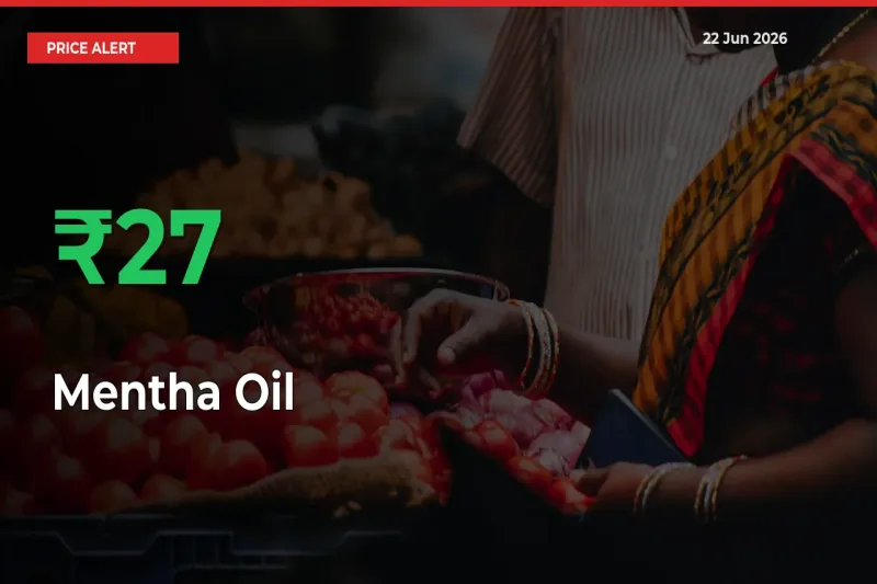 Farmers Cheer as Mentha Oil Prices Surge 27.42% in Local Mandis