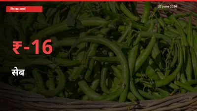 आज का मंडी भाव: सेब के दाम मंडी में 15.51% नीचे