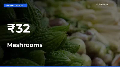 Mashrooms Rates Show Broad Movement Across 32+ Mandis