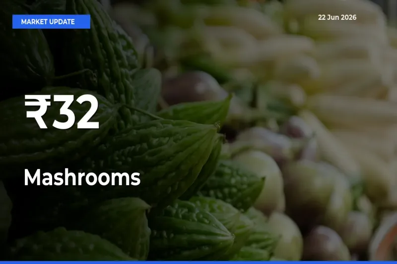 Mashrooms Rates Show Broad Movement Across 32+ Mandis