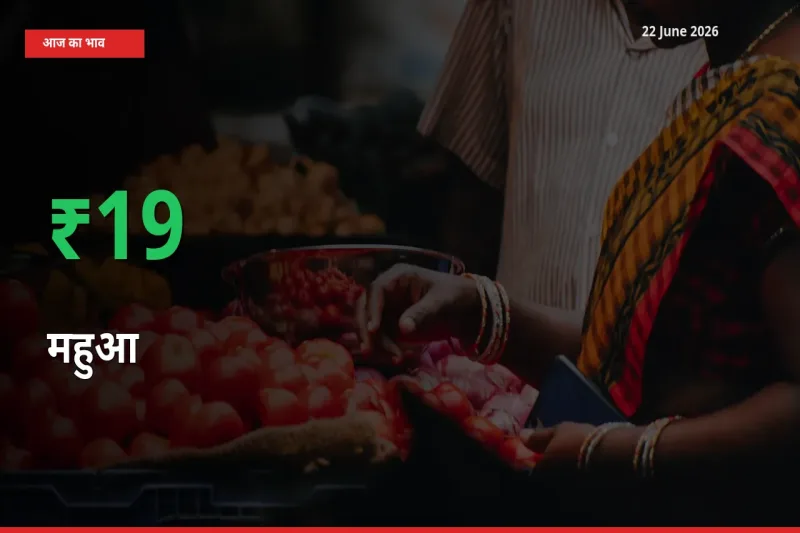 आज का मंडी भाव: महुआ के दाम मंडी में 18.96% ऊपर