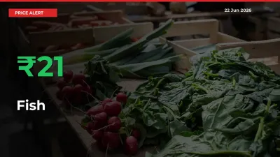 Farmers Cheer as Fish Prices Surge 21.27% in Local Mandis