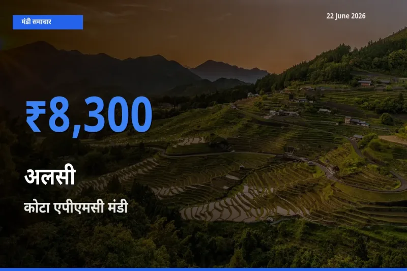 किसानों की पसंद बना कोटा एपीएमसी, अलसी के सबसे अच्छे दाम