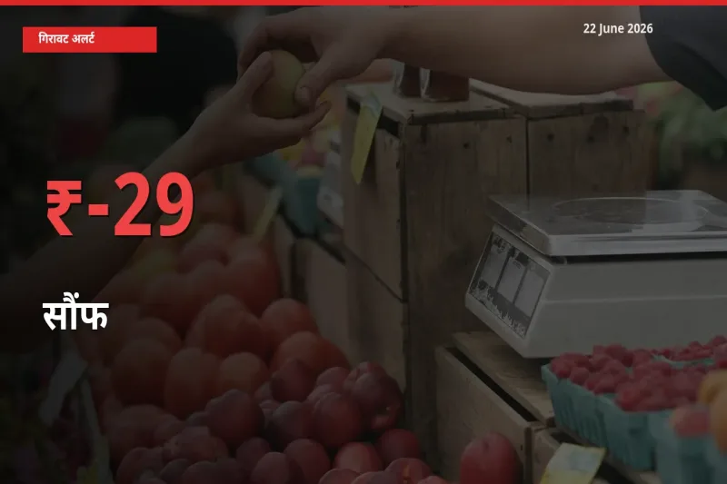 अचानक झटका! मंडी में सौंफ के दाम 29.1% टूटे