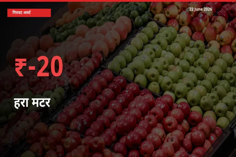 आज का मंडी भाव: हरा मटर के दाम मंडी में 19.51% नीचे