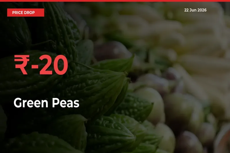 Sudden Shock! Green Peas Drops 19.51% in 24 Hours at Top Mandis
