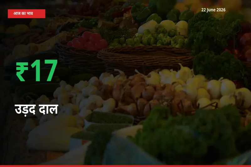 आज का मंडी भाव: उड़द दाल के दाम मंडी में 17.12% ऊपर