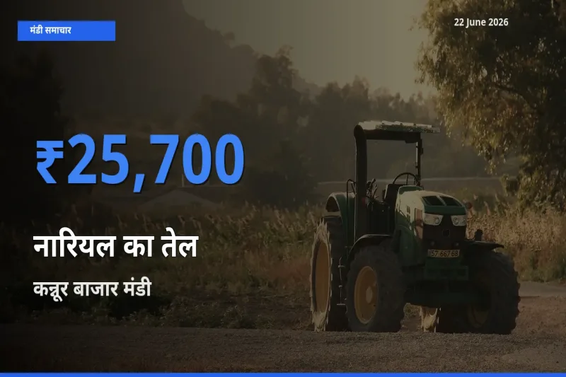 आज नारियल का तेल के सबसे ज़्यादा दाम कन्नूर बाजार मंडी में दर्ज