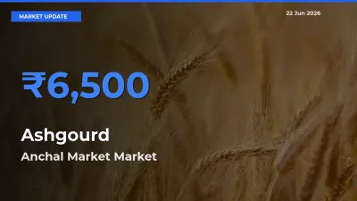 Top Performer! Anchal Market Offers Best Ashgourd Price Today