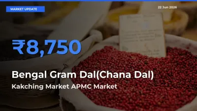 Bengal Gram Dal(Chana Dal) Mandi Rate Today: Kakching Market APMC Tops the List