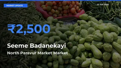 North Paravur Market Emerges as Top Mandi for Seeme Badanekayi Prices Today