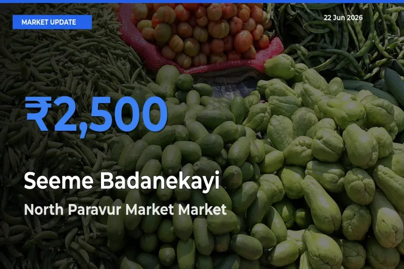 North Paravur Market Emerges as Top Mandi for Seeme Badanekayi Prices Today