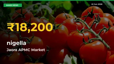 Why nigella Prices Are Climbing in Jaora APMC – Today’s New High Explained
