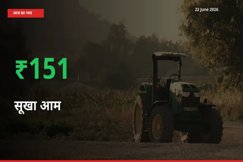 बाज़ार संकेत: सूखा आम के भाव मंडी में 151.1% ऊपर
