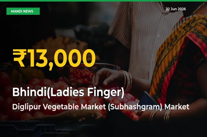 Bhindi(Ladies Finger) Mandi Rate Surges Today in Diglipur Vegetable Market (Subhashgram) – Highest Level in 30 Days