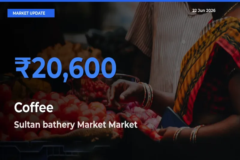 Coffee Mandi Rate Today: Sultan bathery Market Tops the List