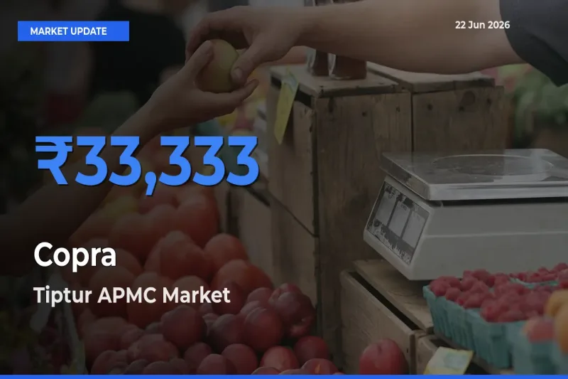 Tiptur APMC Records Highest ₹33,333 Rate for Copra